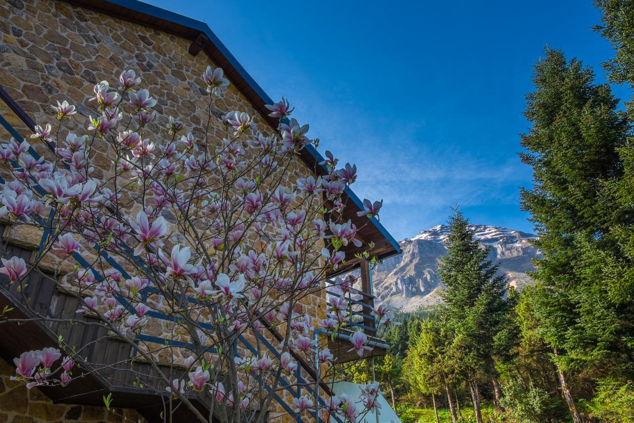 Orizontes Tzoumerkon Hotel Resort Pramanta Esterno foto